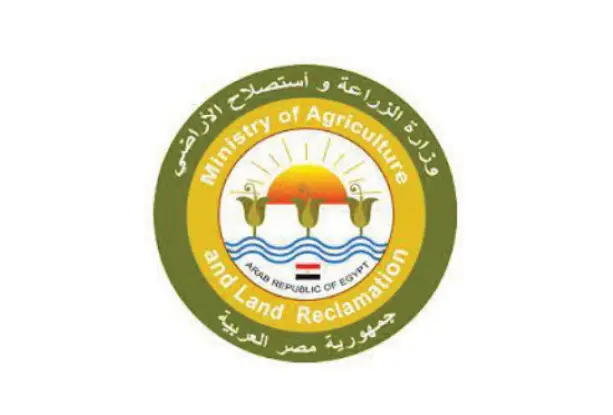 logo (19)